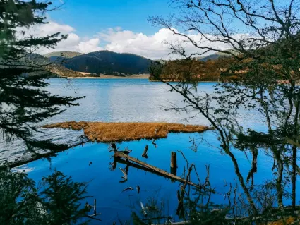 77スピンズ カジノ モバイルアプリ